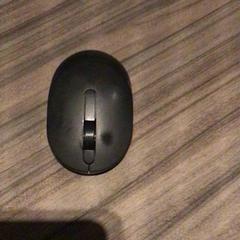 Rato, como reportado por Van der Valk Hotel Zwolle utilizando o iLost