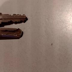 Chaveiro, como reportado por De Efteling utilizando o iLost