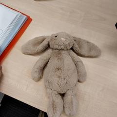 Knuffeldoek Jellycat doudou lapin, zoals gemeld door IKEA Bayonne Ametzondo met iLost