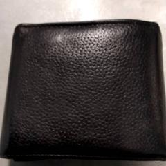 Carteira Oleksii Pryima, como reportado por Arriva Friesland / Groningen utilizando o iLost