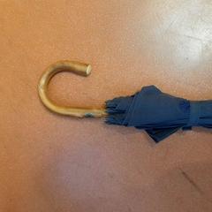 مظلة bleu marine، كما تم الإبلاغ عنه بواسطة TCL عبر iLost