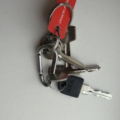 Sleutelbos, segundo informou a iLost