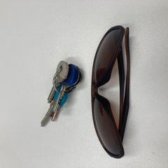 Ulleres de sol Brown, segons ha informat Ramada by Wyndham Amsterdam Airport Schiphol mitjançant iLost