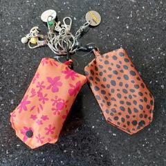 Sleutelhanger, as reported to iLost