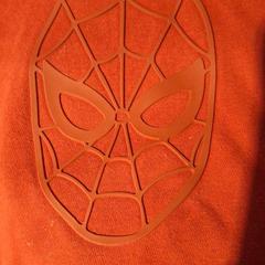 Tröja spiderman, rapporterat av De Tovertuin med iLost