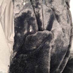 Jacke, gemeldet von Gemeente Nijmegen über iLost