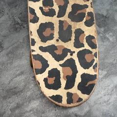 Skateboard, as reported by Arriva Friesland / Groningen using iLost