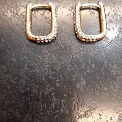 Orecchini, come riportato da Rotterdam The Hague Airport utilizzando iLost