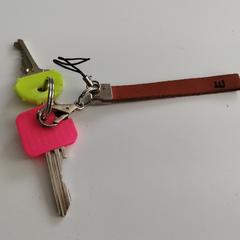 sleutelbos, iLost-i jakinarazi zaion moduan