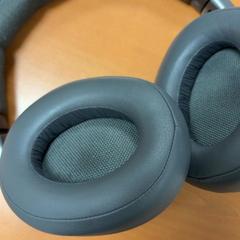 Earphones earplugs, as reported by ibis Schiphol Amsterdam Airport using iLost