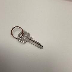 Klíč, jak nahlášeno ilévia pomocí iLost