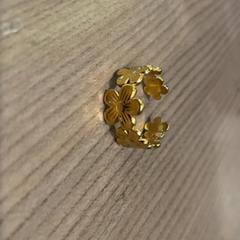 Gyűrű, amint azt Pathé Arnhem az iLost segítségével jelentette.