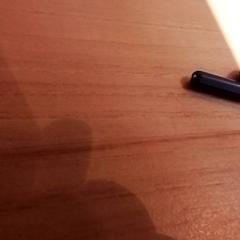 Oortje, as reported by Beekse Bergen Resorts en Hotel using iLost