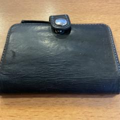 Pasjeshouder Nitsevich, zoals gemeld door Gemeente Amsterdam - Bureau Gevonden Voorwerpen met iLost