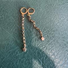Earings, som rapporterats till iLost