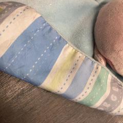 Peluche Lichtblauw, ha sido reportado por Attractie- & Vakantiepark Slagharen con iLost
