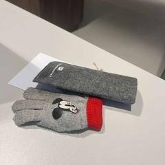 Estuche para lentes con lentes + handschoen, segundo informou Gebo Tours usando iLost