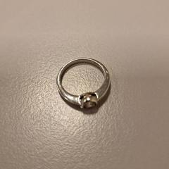 الخاتم، كما تم الإبلاغ عنه بواسطة Vrije Universiteit Amsterdam عبر iLost