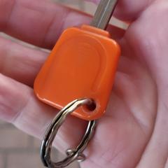 Sleutel, como reportado ao iLost