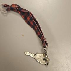 Chave, como reportado por Vrije Universiteit Amsterdam utilizando o iLost