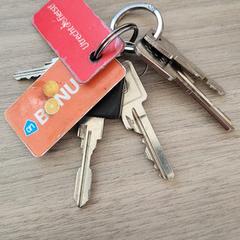 Sleutelbos, amint azt az iLostnak jelentették.