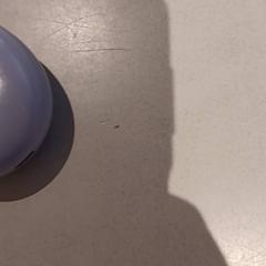 Earpods, gemeldet von De Efteling über iLost