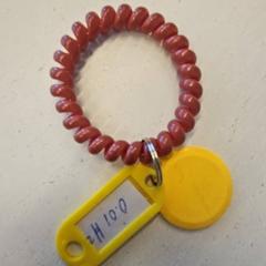 Cumlík, ako bolo nahlásené GVB pomocou iLost