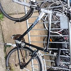 Bicicleta masculina giant, segundo informou Stadswerk072 usando iLost