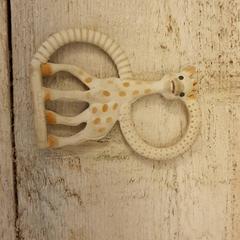 Brinquedo Giraffe, como reportado por DierenPark Amersfoort utilizando o iLost