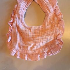 Bib Zalm kleur met roesje, ako bolo nahlásené Familiepark Drievliet pomocou iLost