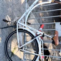 Bicicleta femenina old dutch, segons ha informat Stadswerk072 mitjançant iLost