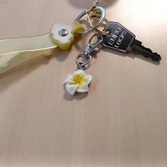 Chave, como reportado por Regio Oost-Vlaanderen utilizando o iLost