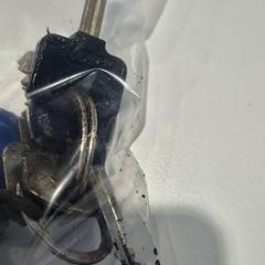 Schlüsselanhänger, gemeldet von Gemeente Waalwijk über iLost