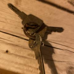 Sleutelbos, jak bylo nahlášeno na iLost