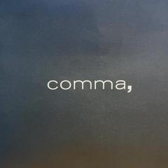 Purchase comma, a été signalé par Designer Outlet Roermond utilisant iLost
