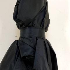 Regenschirm - zwart, gemeldet von Regio Antwerpen - Brussel über iLost