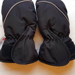 Rukavice Zwart/zilver, ako bolo nahlásené DierenPark Amersfoort pomocou iLost