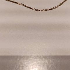 Collaret, segons ha informat De Efteling mitjançant iLost