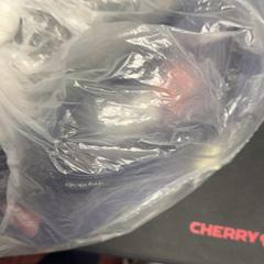 슬리퍼 Blauw, iLost를 사용하여 ibis Styles Rotterdam Ahoy에 보고됨