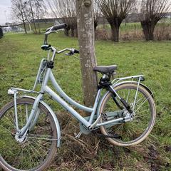 Fiets mintgroen Cortina, como reportado ao iLost