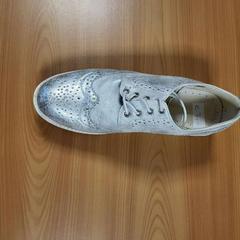Scarpa Zilver, come riportato da Connexxion Noord Holland Noord Alkmaar utilizzando iLost