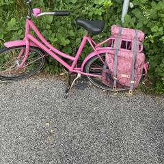 Roze kinderfiets がiLostに報告されました