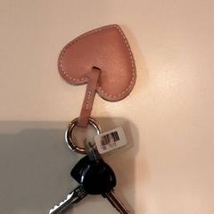 Clave, segundo informou LUMC usando iLost