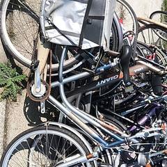 Pánsky bicykel batavus, ako bolo nahlásené Stadswerk072 pomocou iLost