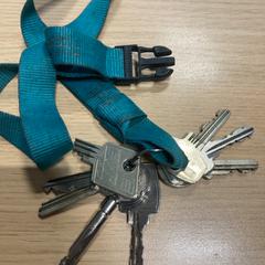 Sleutelbos, ako bolo nahlásené Pathé Scheveningen pomocou iLost