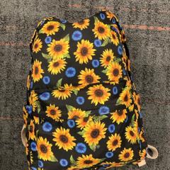 Ryggsekk, som rapportert av Connexxion Amstelland-Meerlanden Schiphol Zuid ved bruk av iLost