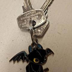 Nøkkel, som rapportert av GVB ved bruk av iLost