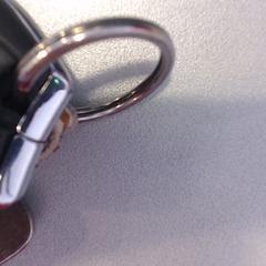 자동차 열쇠, iLost를 사용하여 Walibi Holland에 보고됨