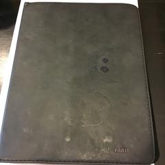 İLost kullanarak Qbuzz U-OV tarafından bildirildiği gibi Ipad