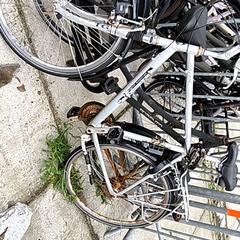 Pánsky bicykel, ako bolo nahlásené Stadswerk072 pomocou iLost